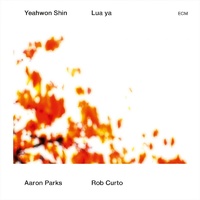 Yeahwon Shin - Lua ya