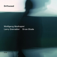 Wolfgang Muthspiel - Driftwood