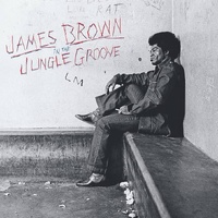 James Brown - In the Jungle Groove - 2 x Vinyl LPs