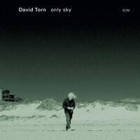 David Torn - Only Sky