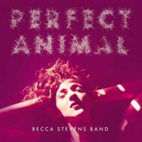 Becca Stevens - Perfect Animal