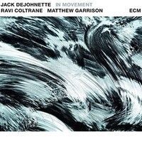 Jack DeJohnette, Ravi Coltrane & Matthew Garrison - In Movement - 2 x 180g Vinyl LPs