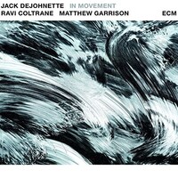 Jack DeJohnette, Ravi Coltrane & Matthew Garrison - In Movement - 2x 180g Vinyl LPs