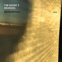 Tim Berne's Snakeoil - Incidentals