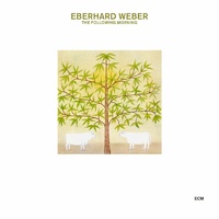 Eberhard Weber - The Following Morning