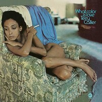Terry Callier - What color is love / vinyl LP