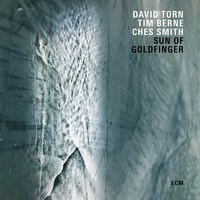 David Torn, Ches Smith & Tim Berne - Sun of Goldfinger