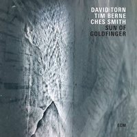 David Torn, Tim Berne & Ches Smith - Sun of Goldfinger / vinyl LP