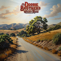 The Doobie Brothers - Walk this road - Vinyl LP