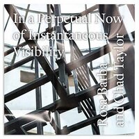Rosa Barba & Chad Taylor - In a Perpetual Now of Instantaneous Visibility