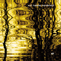 Esbjörn Svensson Trio / e.s.t.  - Tuesday Wonderland