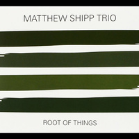 Matthew Shipp Trio - Root of Things