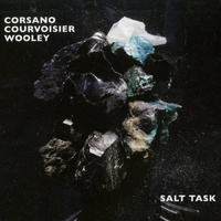 Chris Corsano, Sylvie Courvoisier & Nate Wooley - Salt Task