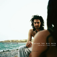 Avishai Cohen - After the Big Rain