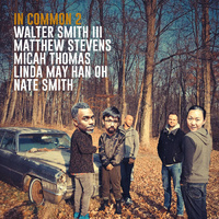 Walter Smith III, Matthew Stevens, Micah Thomas, Linda May Han Oh & Nate Smith - In Common 2