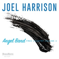Joel Harrison - Angel Band: Free Country Volume 3