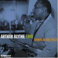 Arthur Blythe Trio - Spirits in the Field