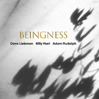 Dave Liebman, Billy Hart & Adam Rudolph  - Beingness