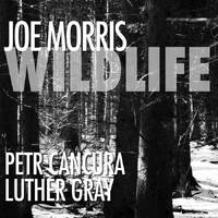 Joe Morris - Wildlife