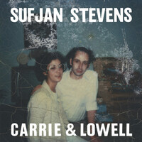 Sufjan Stevens - Carrie & Lowell / vinyl LP