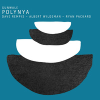 Dave Rempis - Polynya