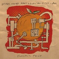 Weasel Walter, Mary Halvorson & Peter Evans - Electric Fruit