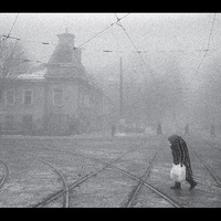 Vadim Neselovskyi - Perseverantia