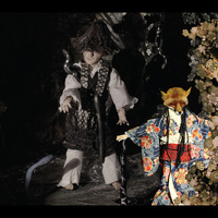 Ikue Mori - Enchanted and Delighted / CD & DVD
