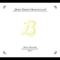 John Zorn / Brian Marsella - The Bagatelles Vol. 7