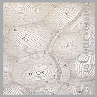 Sylvie Courvoisier - Signs and Epigrams