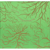 John Zorn - A Garden of Forking Paths