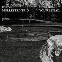 Hedvig Mollestad Trio - Ding Dong, You're Dead / vinyl LP