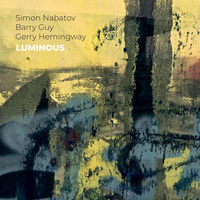 Simon Nabatov / Barry Guy / Gerry Hemingway - Luminous