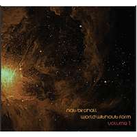Nat Birchall - World Without Form Volume 1 - Vinyl LP