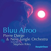 Pierre Dorge & New Jungle Orchestra - Bluu Afroo