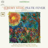 Jeremy Steig - Flute Fever