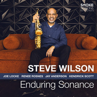 Steve Wilson - Enduring Sonance