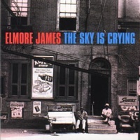 Elmore James - The Sky is Crying
