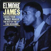 Elmore James - Shake Your Money Maker: The Best of the Fire Sessions