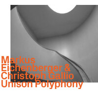 Markus Eichenberger & Christoph Gallio - Unison Polyphony