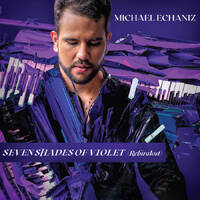 Michael Echaniz - Seven Shades Of Violet(Rebiralost)