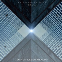 Aaron Lebos Reality - 141 Layers of Ikigai