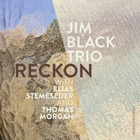 Jim Black Trio - Reckon