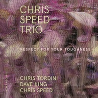 Chris Speed Trio - Respect for Your Toughness