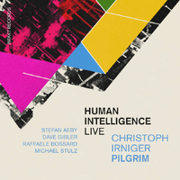 Christoph Irniger PILGRIM - Human Intelligence: live