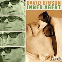 David Gibson - Inner Agent