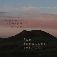 Wayne Horvitz - The Snowghost Sessions