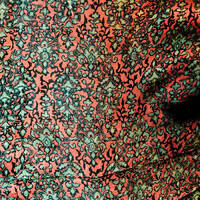 Jaimie Branch - Fly or Die Live / 2CD set