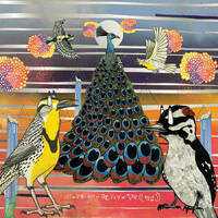 Jaimie Branch - Fly or Die Fly or Die Fly or Die ((world war))