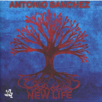 Antonio Sanchez - New Life